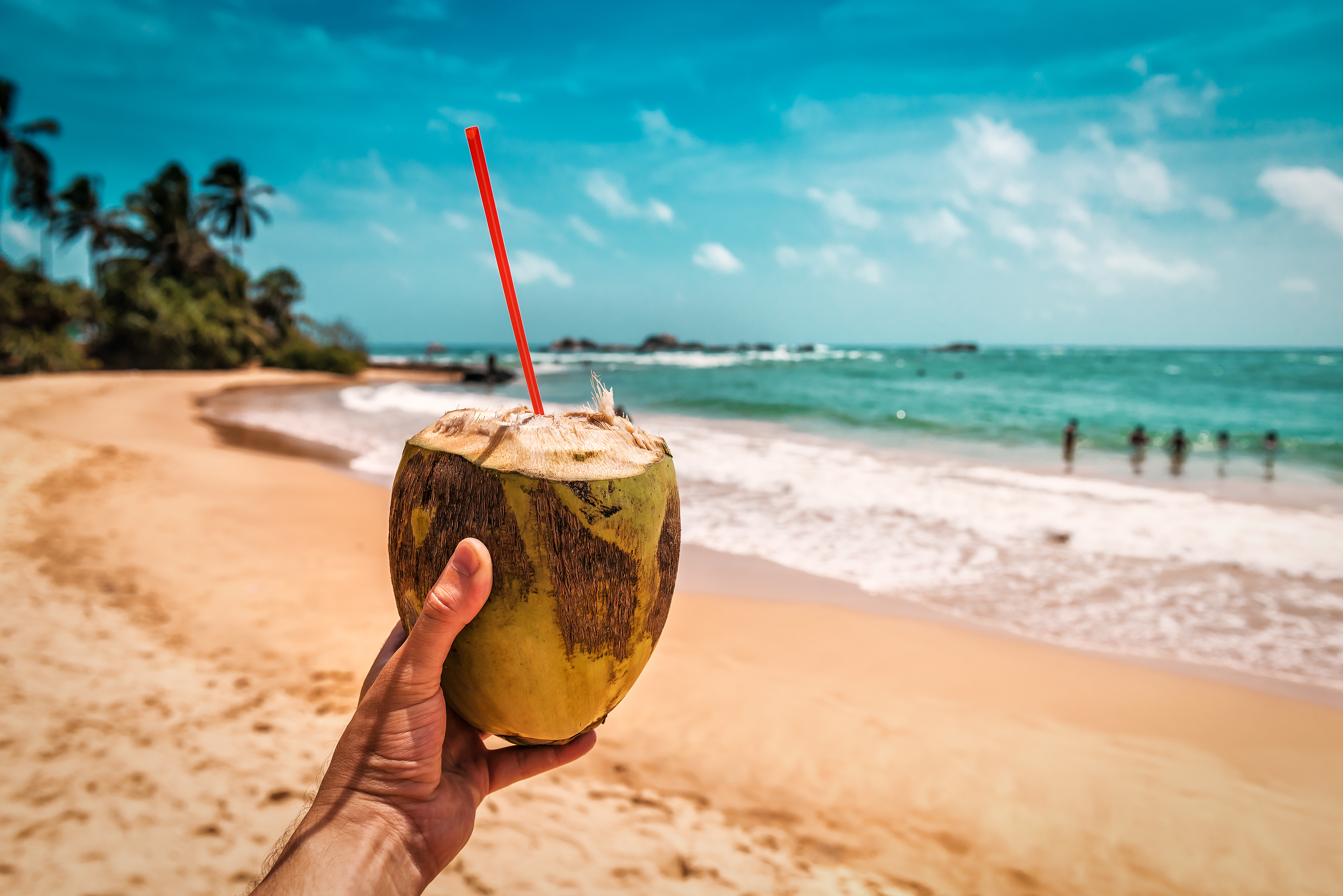 Monster Beverage Was a 2,000-Bagger Between 1994 and 2024. Could This Coconut Water Leader Be Next?