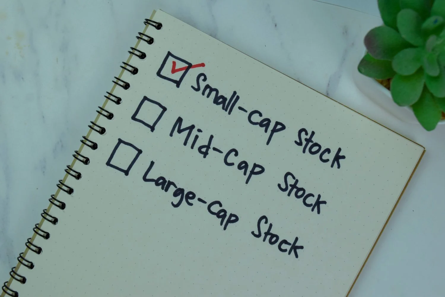 After Watching Small Cap Value Crush Growth by 9 Points in 2026 These 3 ETFs Captured the Premium Best