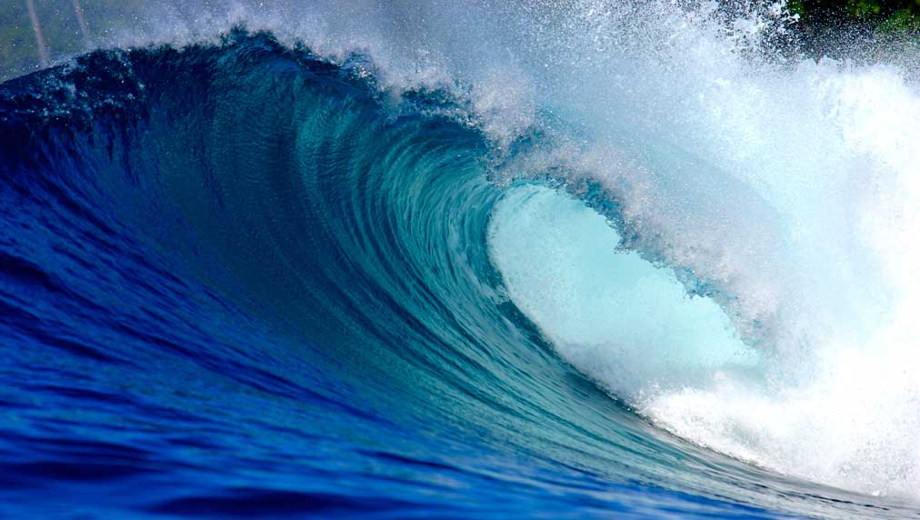 Dow Jones Futures: Tesla, Microsoft, Meta, Apple Lead Earnings Wave After Whipsaw Trump Week