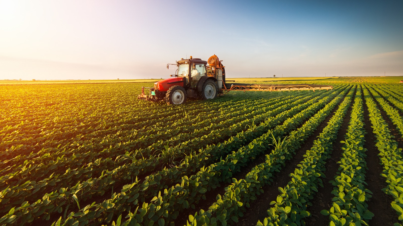 Archer Daniels Midland Could Be 12% Overvalued After M And A Talk Returns