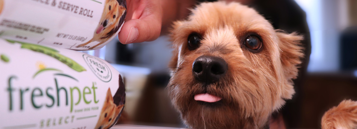 Freshpet, Inc.'s Fundamentals Look Pretty Strong: Could The Market Be Wrong About The Stock?