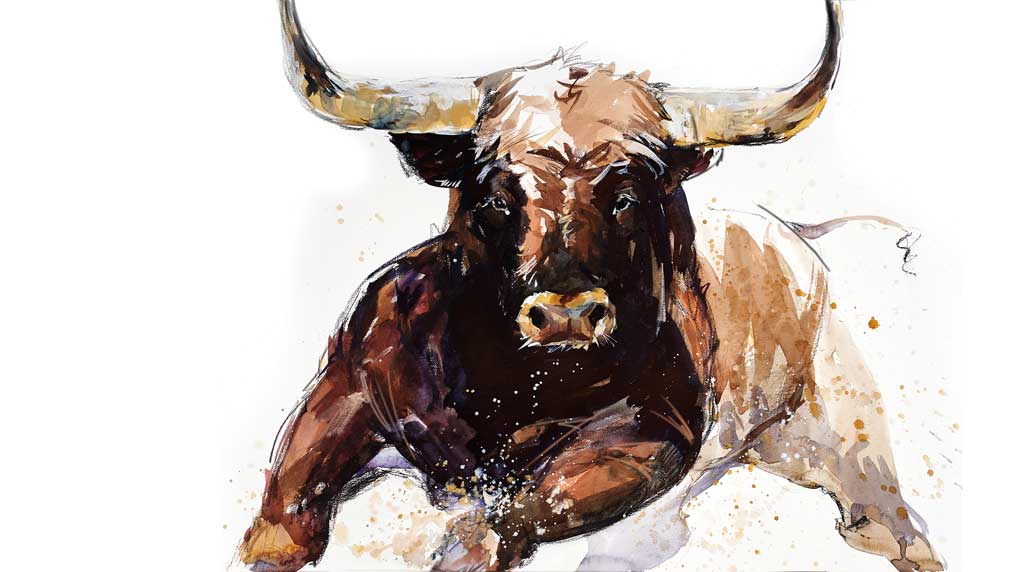 Stock Market Today: Dow Gains, Nasdaq Hits New High; Shopify, Brazil Plays Offer Entries