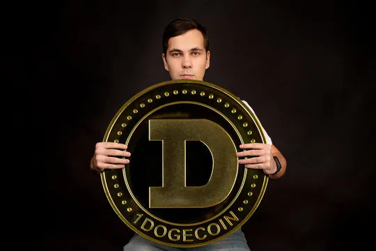 Dogecoin’s 66% Pullback Not Out Of The Ordinary, Here’s What Happened The Last Two Times