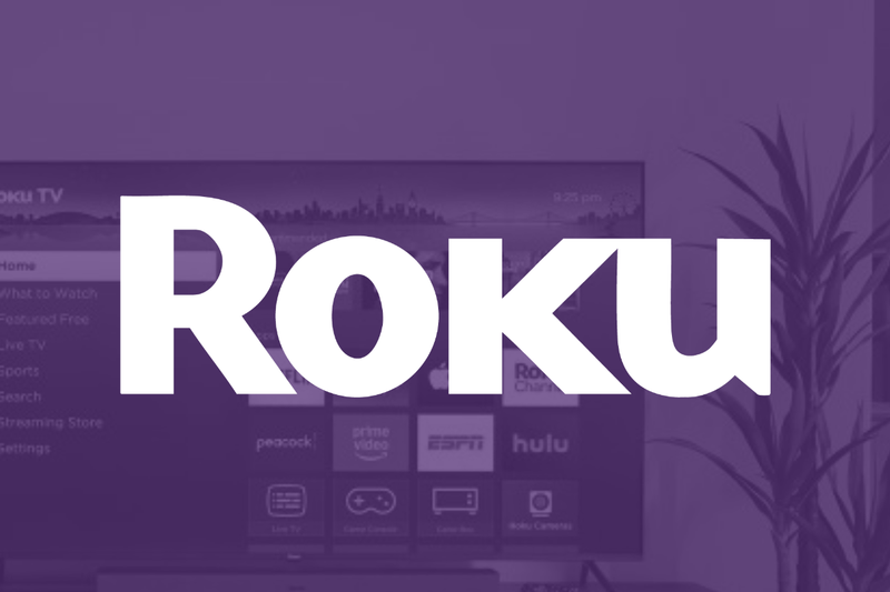Roku Stock Skyrocketed on Friday. Investors Should Be Paying Attention.