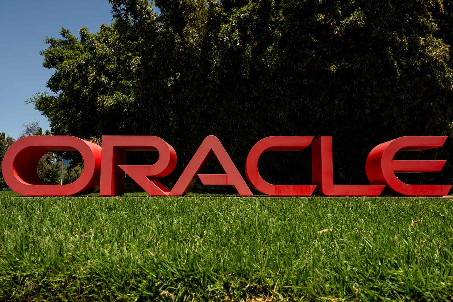 A Bad Week for Oracle Stock Got Even Worse on Friday. Here's Why
