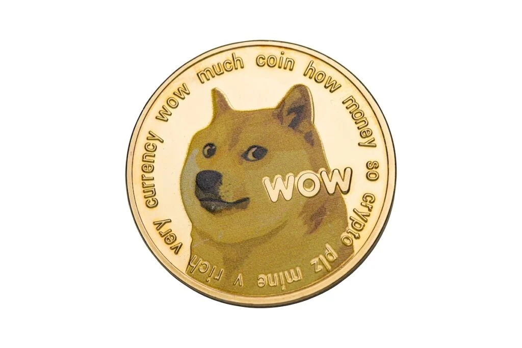 Dogecoin Jumps As Elon Musk Confirms X Money Launch