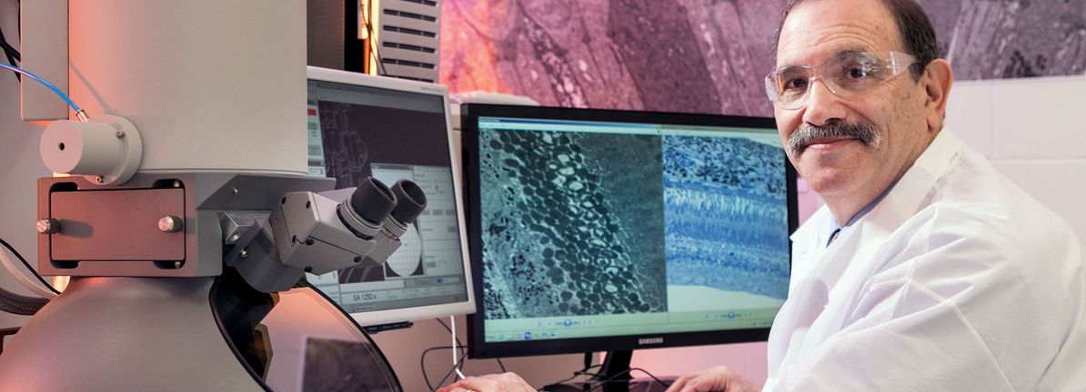 Bristol-Myers Squibb Collaborates With BioNTech For Antibody Development In Cancer Treatment