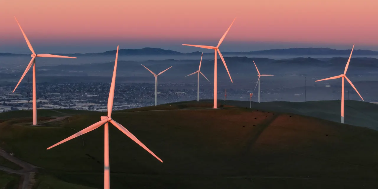 Eye-Popping Returns Are Drawing Investors Back to ESG