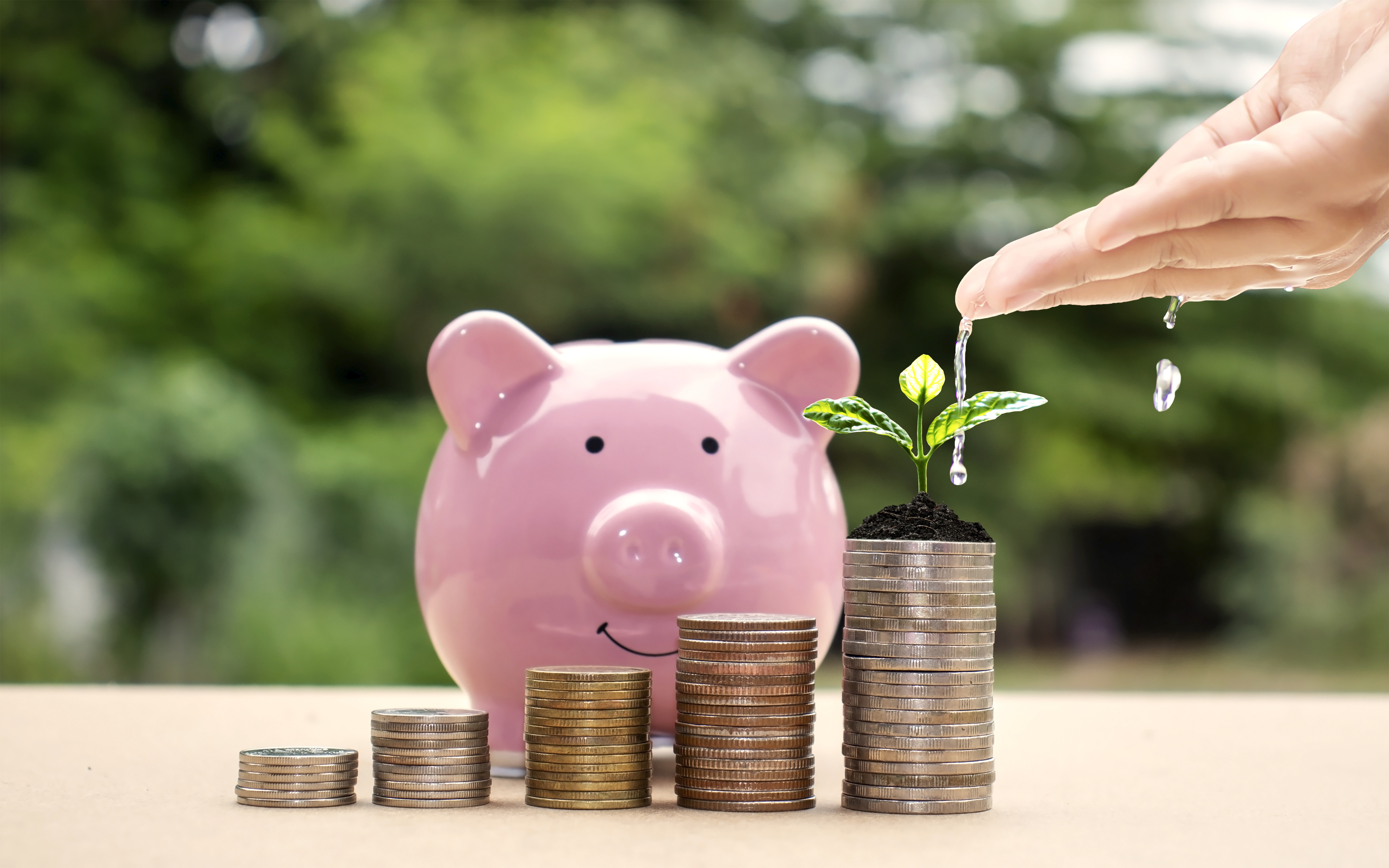 The Best Stocks to Invest $1,000 in Right Now