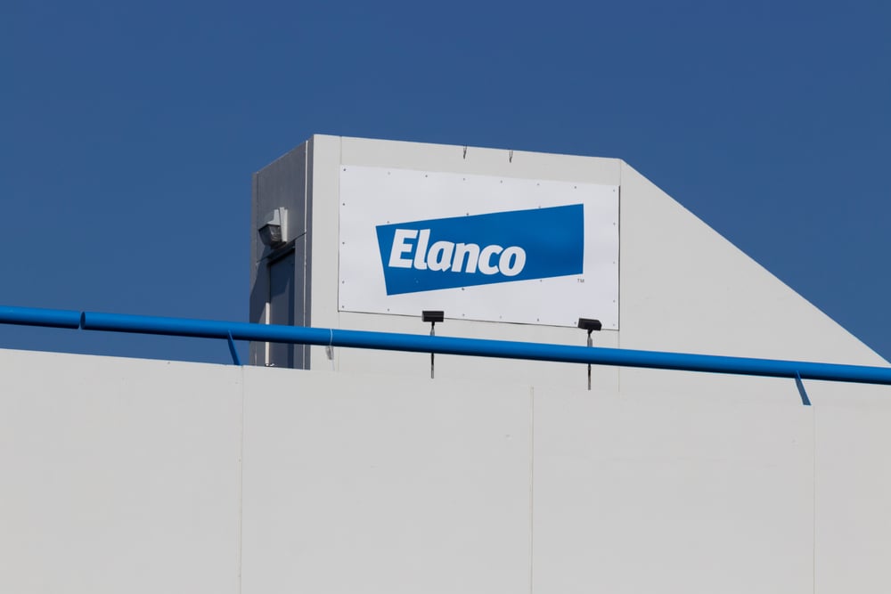 Elanco Sees Strong Pet Health Momentum, Bets on Innovative Products