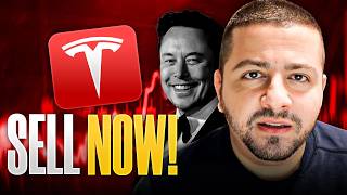 Tesla Stock is Crashing! (If only there were someone to caution investors about the overvaluation)