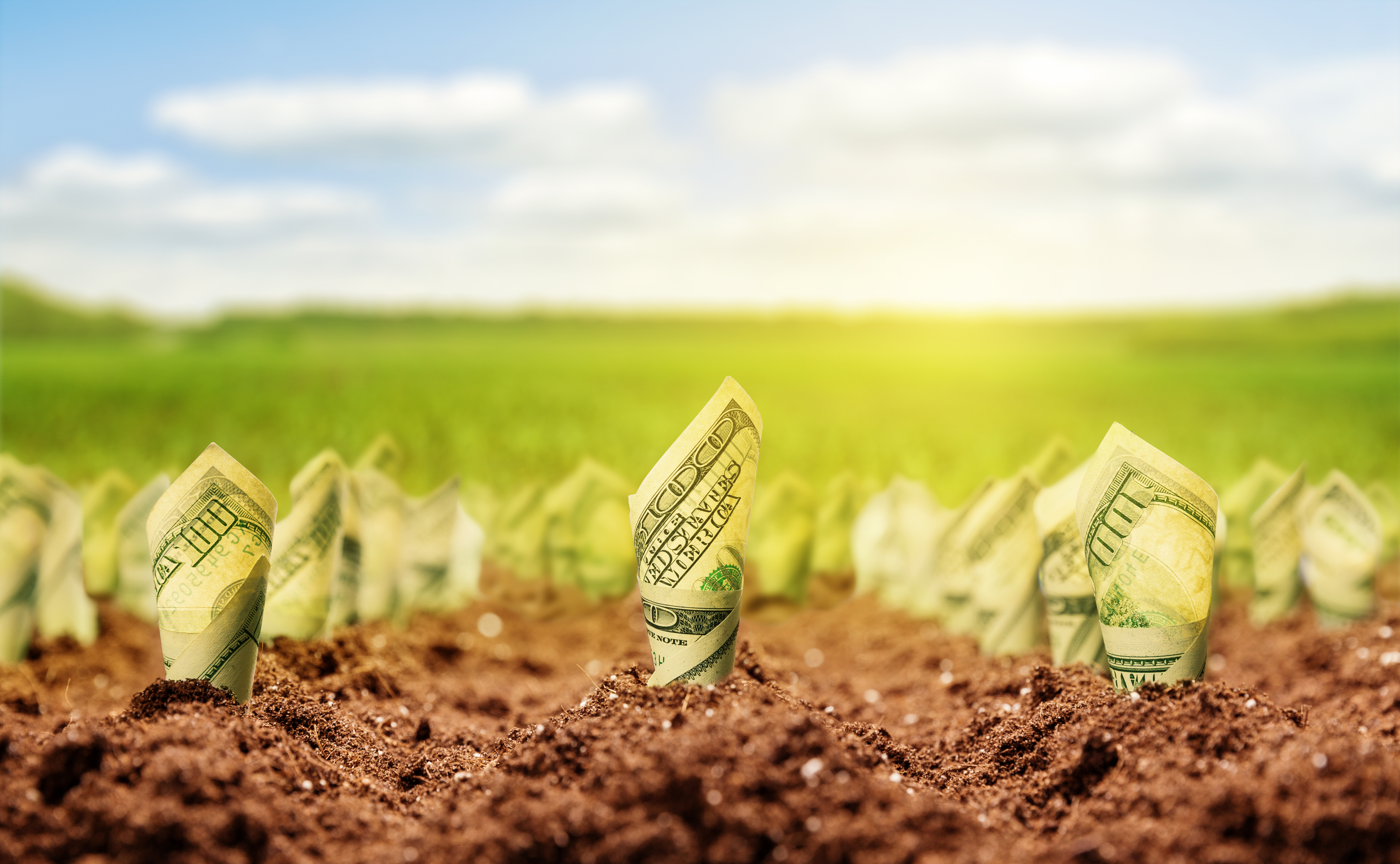 The Smartest Dividend Stocks to Buy With $1,000 Right Now