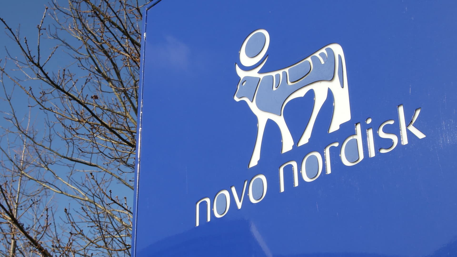 Novo Nordisk is betting on a CEO shakeup to regain its weight loss drug edge over Eli Lilly