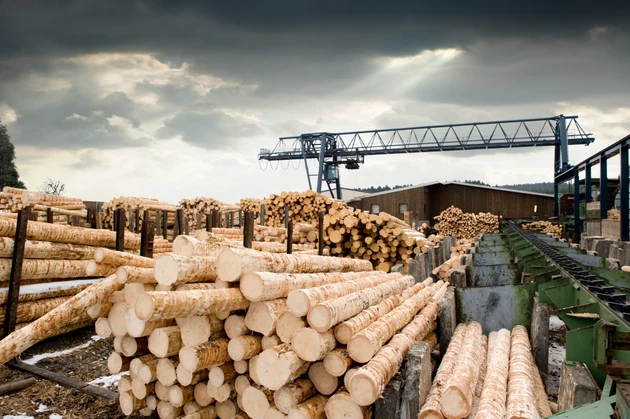 Boise Cascade pleads guilty, fined $6.38M by DoJ in timber trafficking scheme