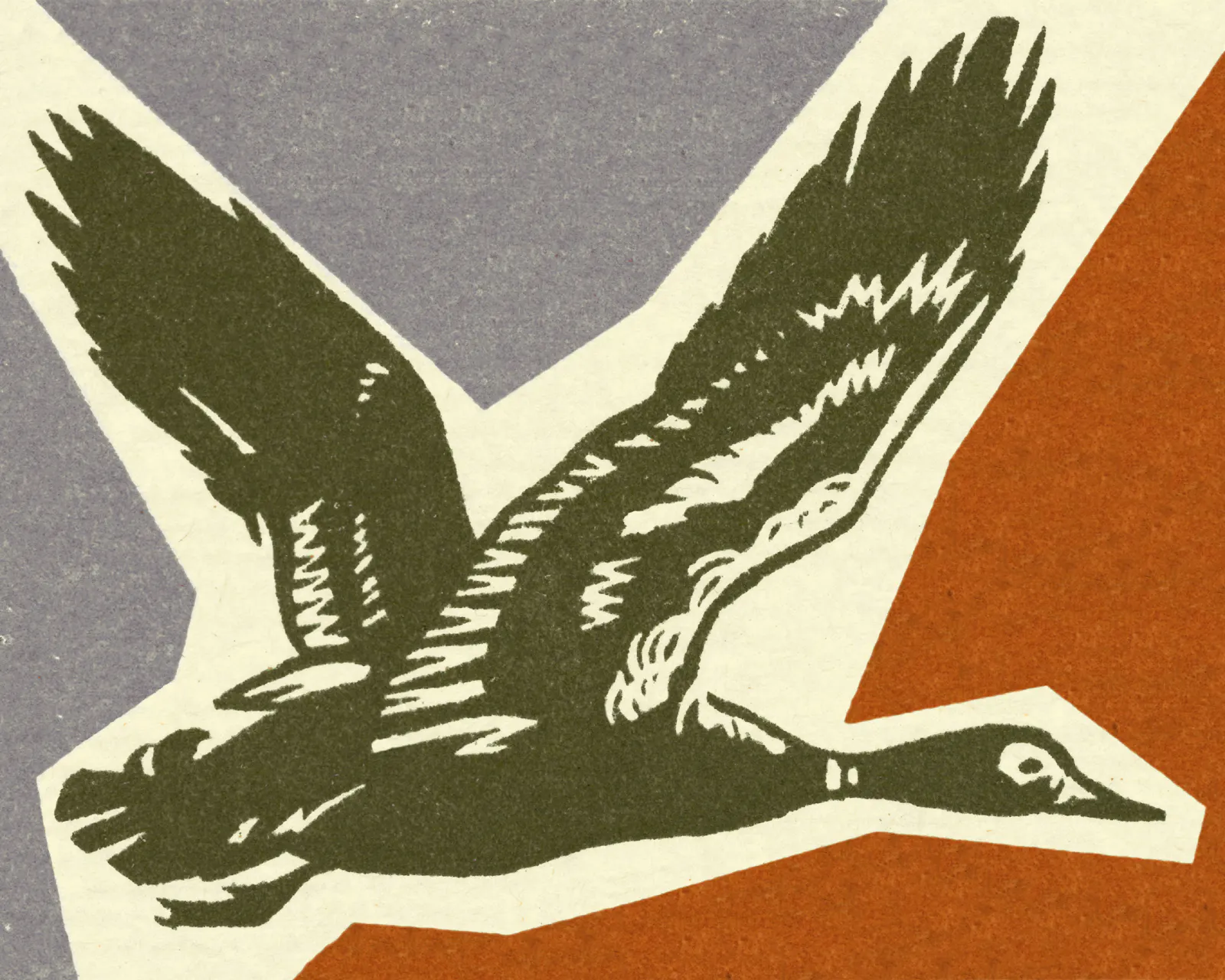 OP token rises after payments card provider Ether.fi finalizes migration to the layer 2 network