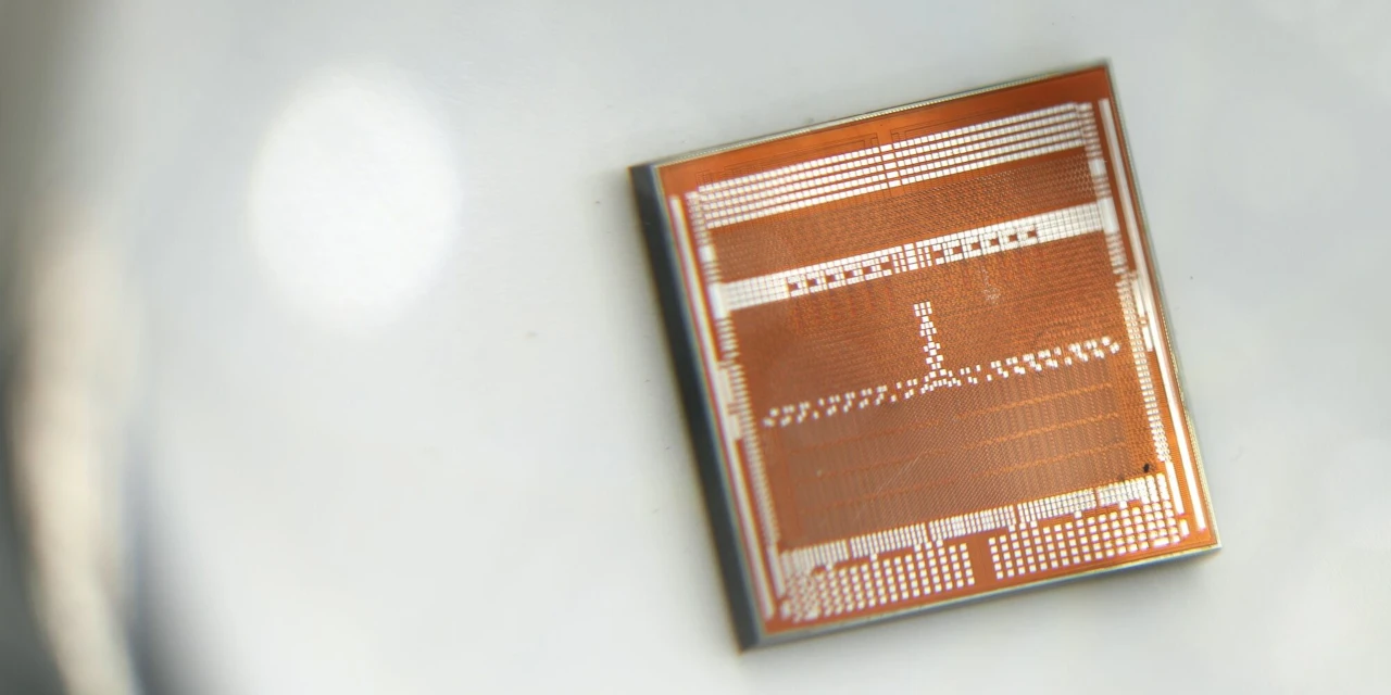 AI Chip Mania Sows Seeds of Its Own Destruction