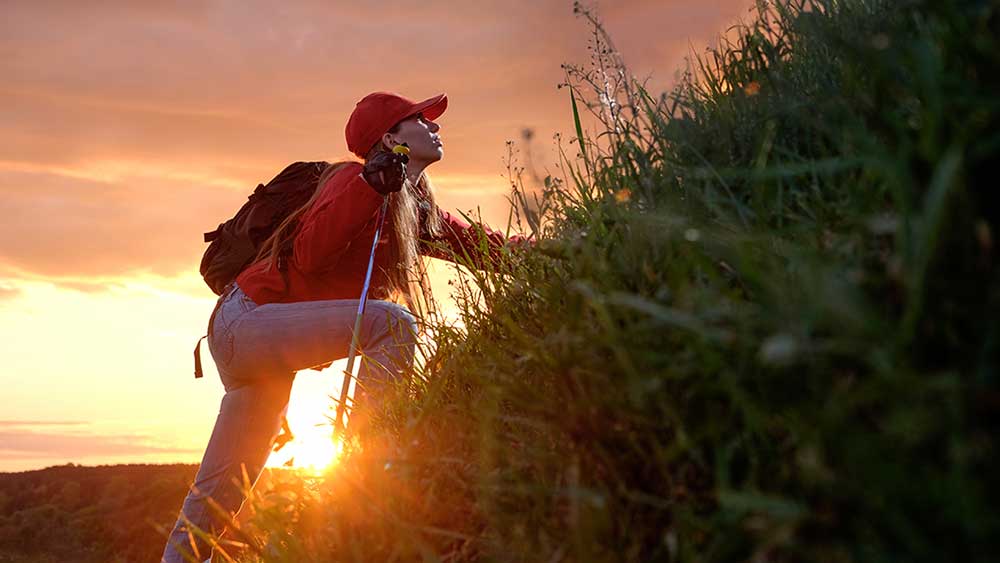 Dow Jones Futures: Stocks Extend Rally On Iran War News, Amazon; CPI Inflation, Nvidia Chipmaker Due