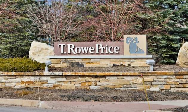 T. Rowe Price brings in McKinsey's Andrew Reich to head global strategy