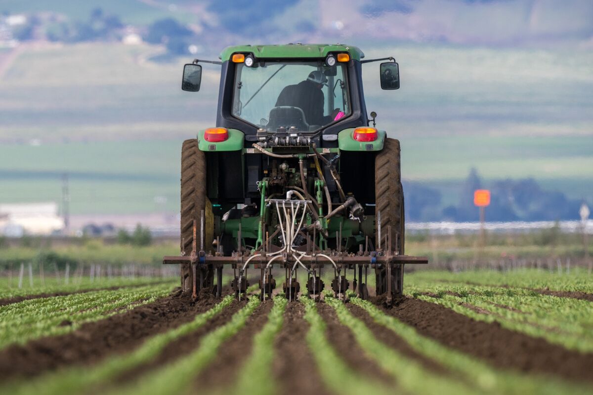 Fertilizer Makers See Earnings Windfall as War Disrupts Supplies