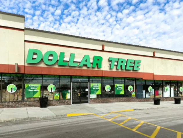 Dollar Tree's solid quarterly results overshadowed by soft guidance