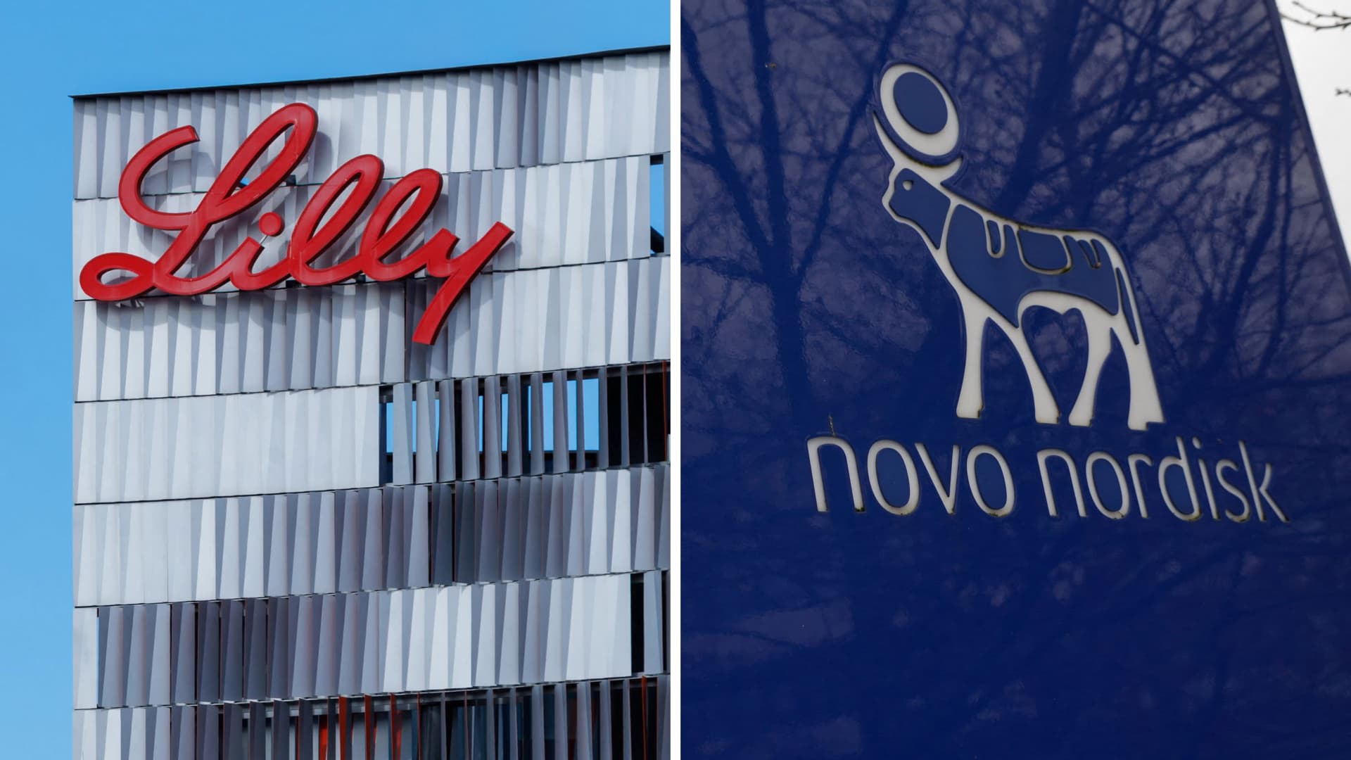 The divide between Eli Lilly and Novo Nordisk is widening after their latest earnings