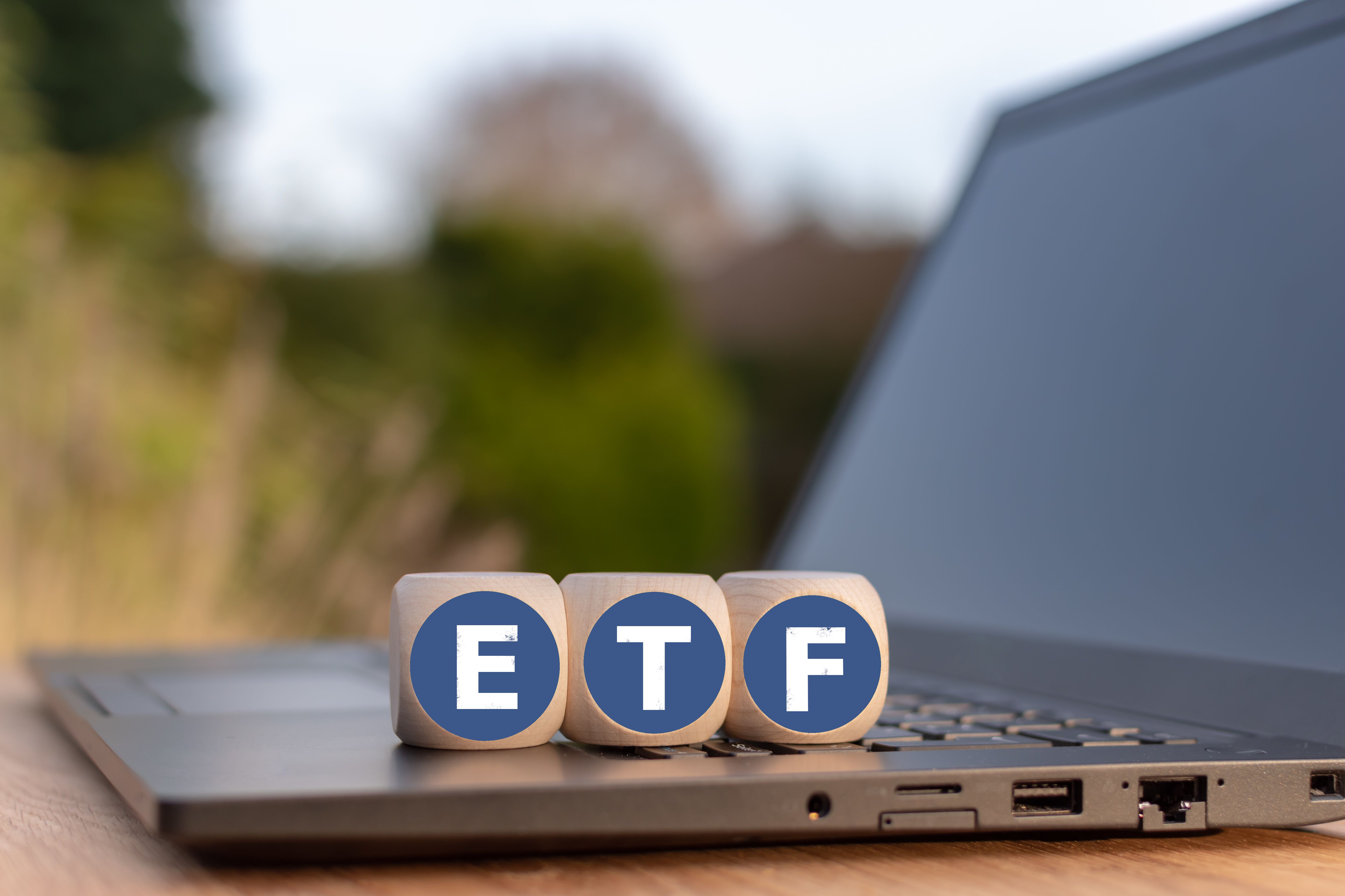 The Vanguard Information Technology ETF Offers Broader Tech Diversification Than the Technology Select Sector SPDR Fund