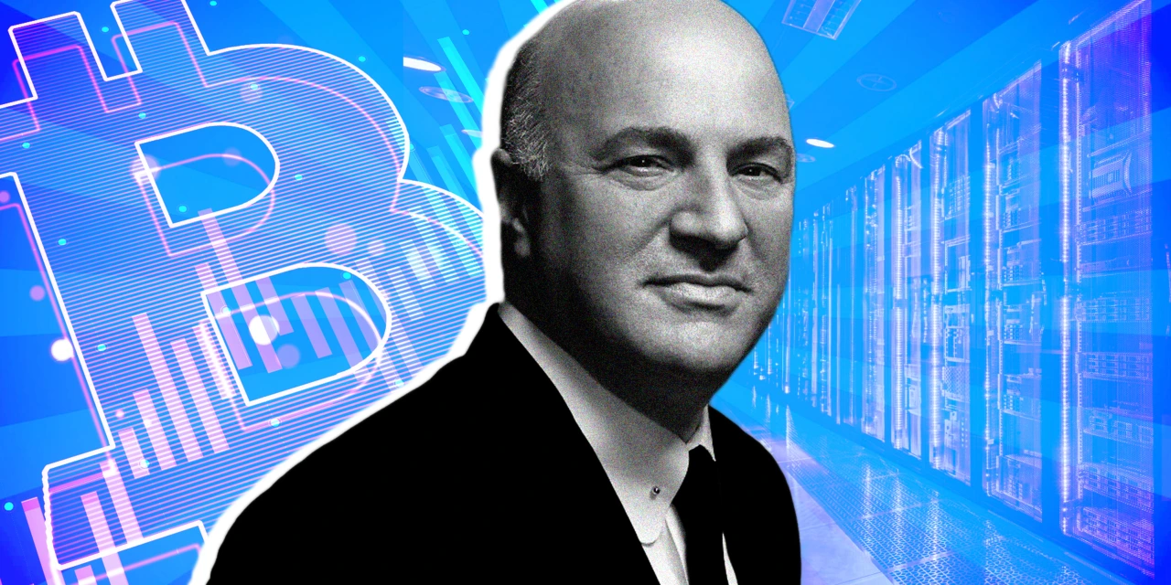 Kevin O’Leary, aka ‘Mr. Wonderful,’ on crypto, winning in AI and 3 things all business owners must know