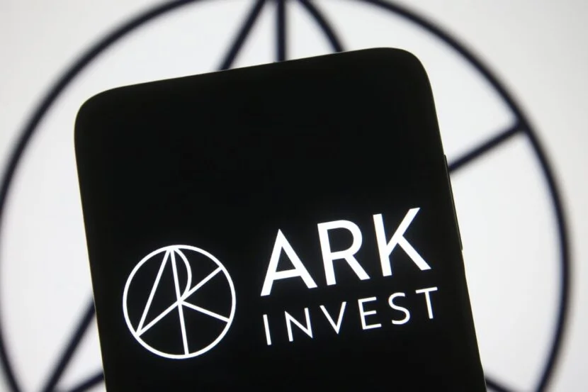 Cathie Wood's Ark Goes Chip-Stock Shopping Ahead Of AMD Earnings, Adds More Of Warren Buffett-Backed Chinese EV Play