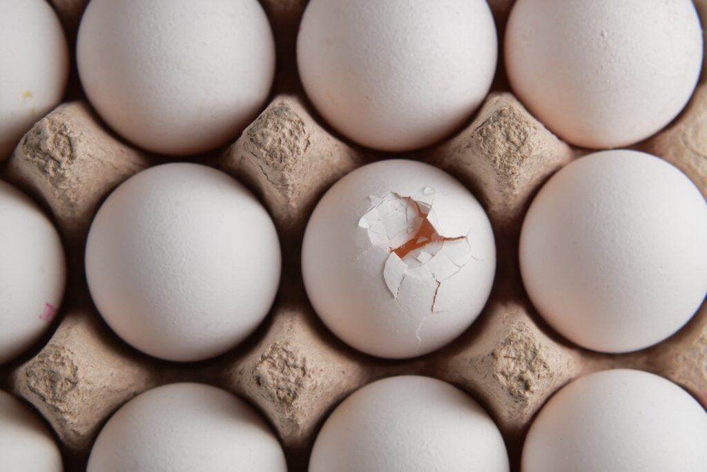 Cal-Maine Foods Stock Cracks Under Egg-Industry Pressure