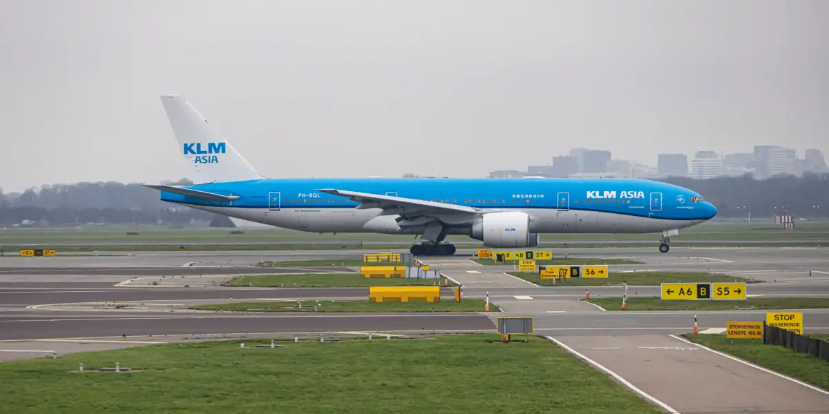 Family sues Delta and KLM claiming a 'bed bug infestation' on an international flight