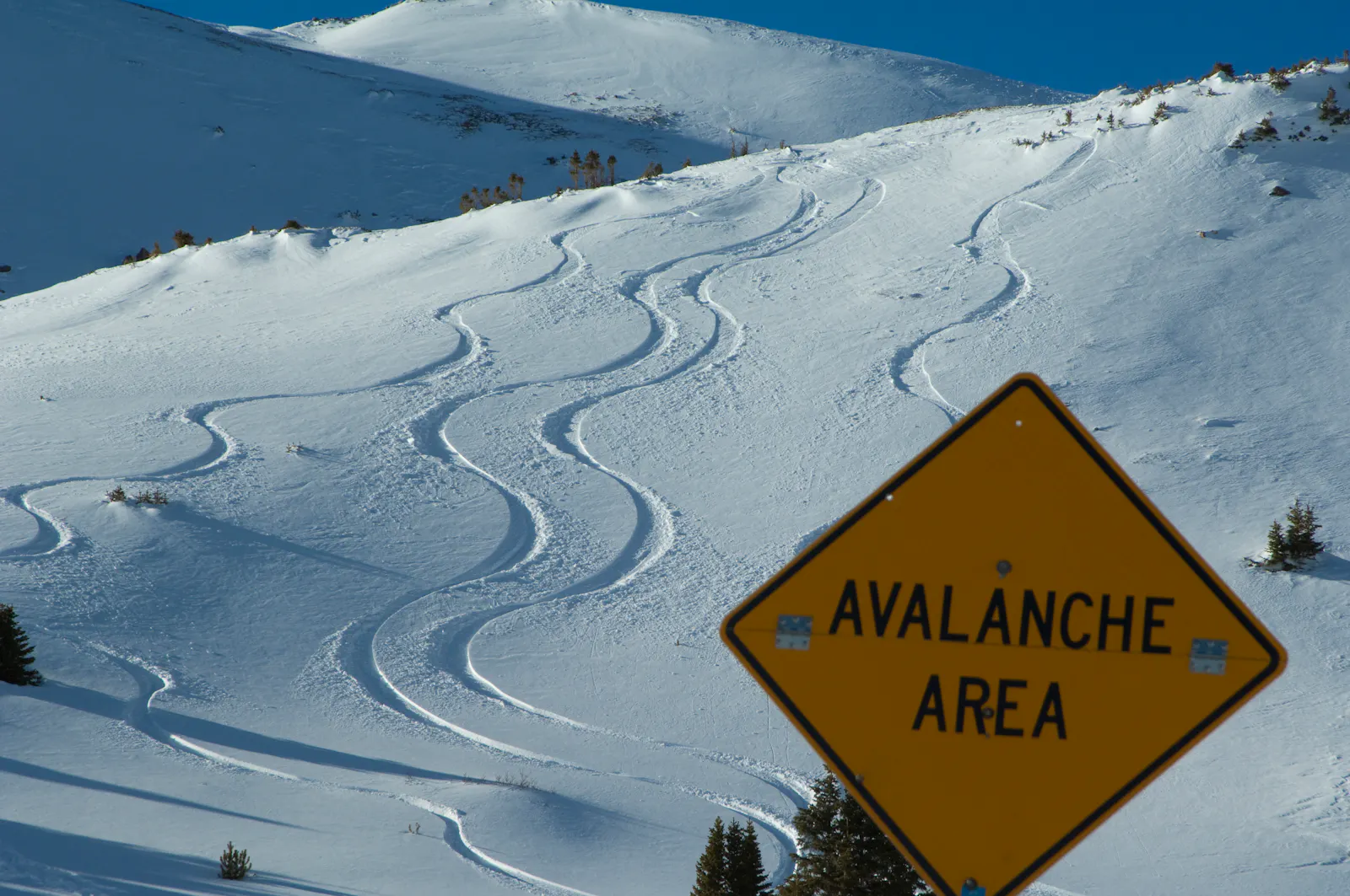 Avalanche joins class of cryptocurrencies with at least one ETF