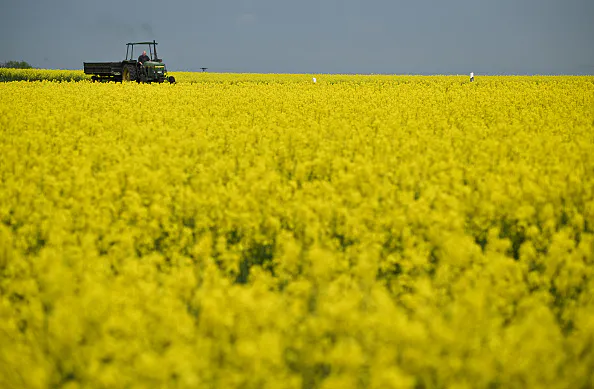 S&P 500 finishes flat on December rate cut doubts, but tech bolsters Nasdaq-100