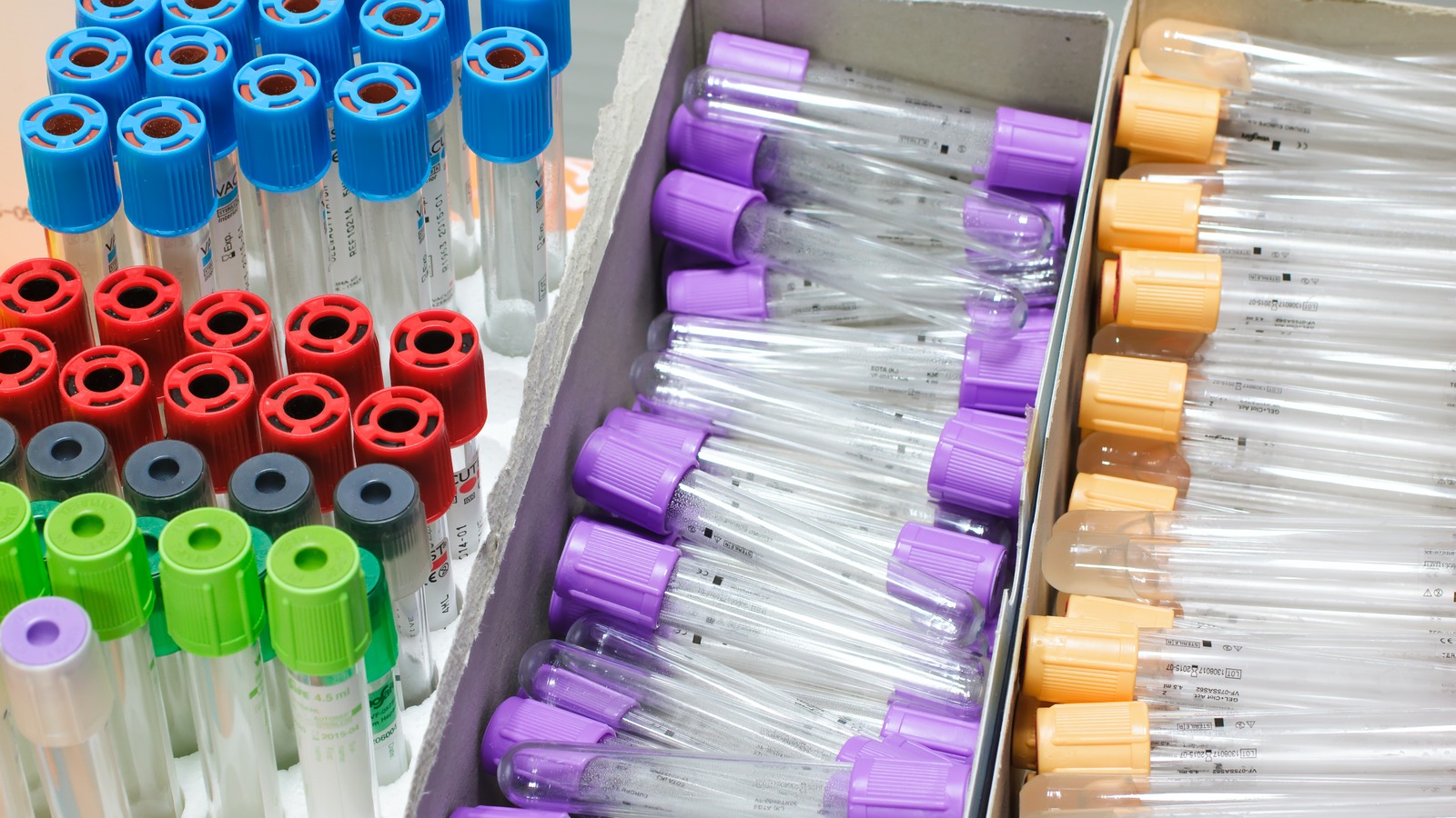 Is Establishment Labs Holdings Undervalued As New Clinical Data Tests Its Premium?