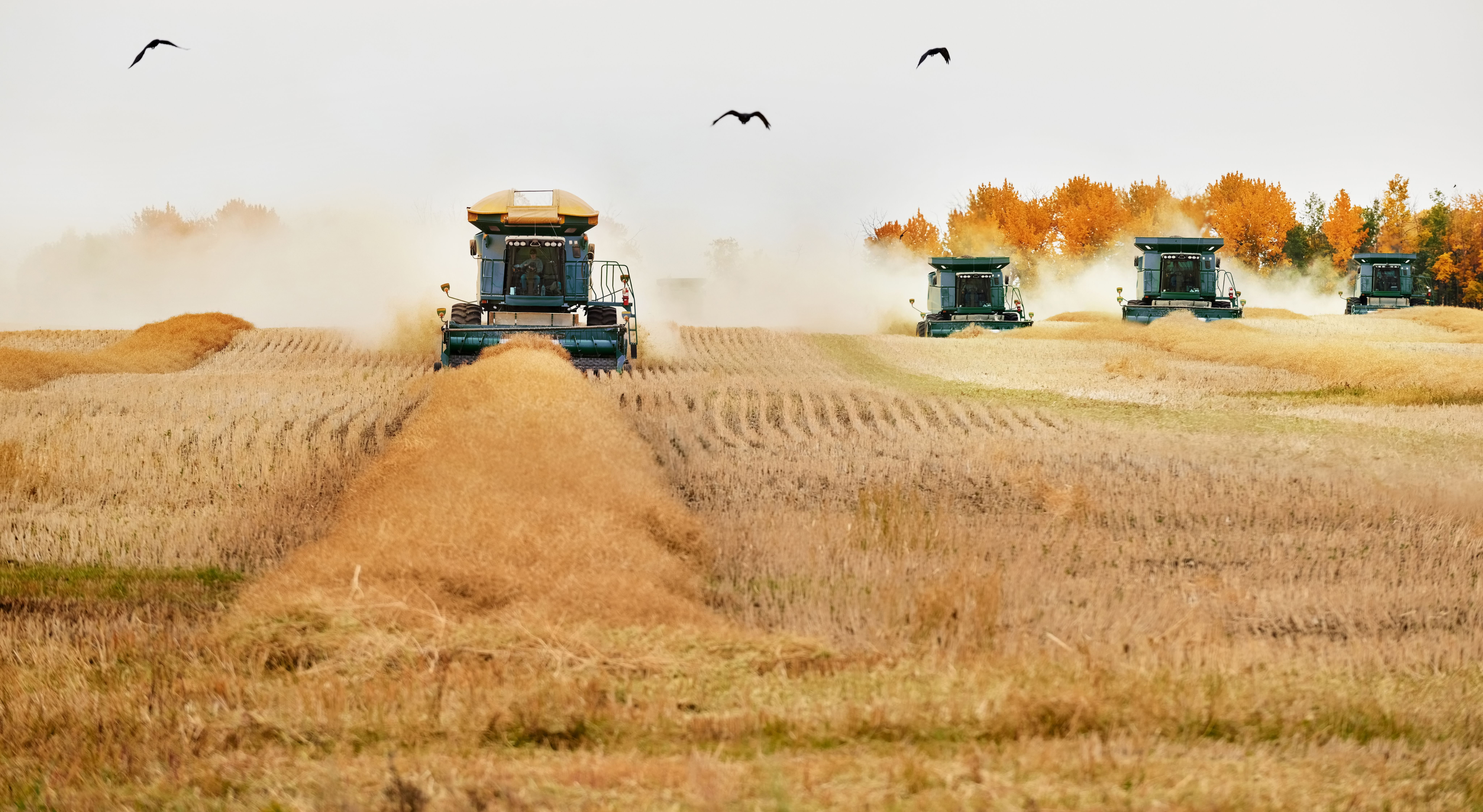 Delta Capital Management Bets Big on Deere & Company in Q3