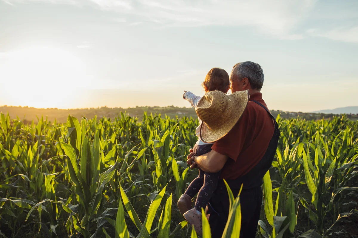 Why Deere Stock Rallied Today