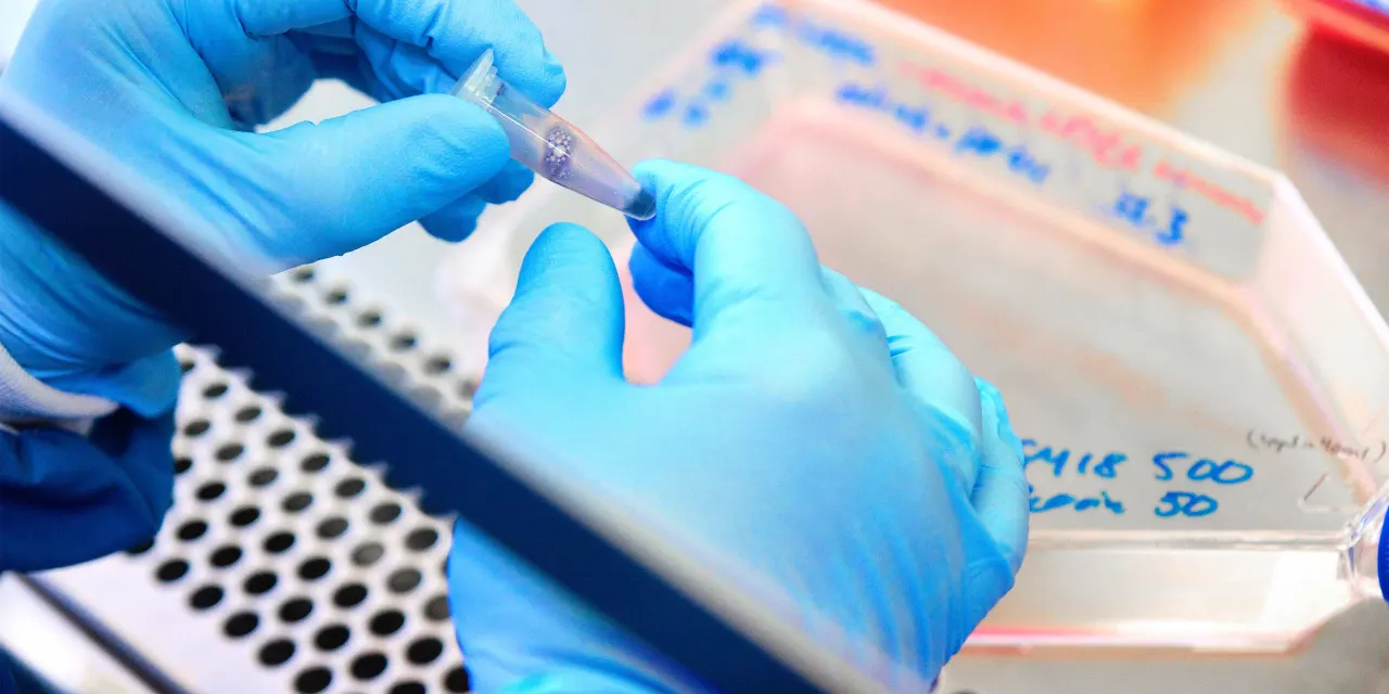 Disappointing weight-loss-drug trial results from Zealand Pharma send shares tumbling