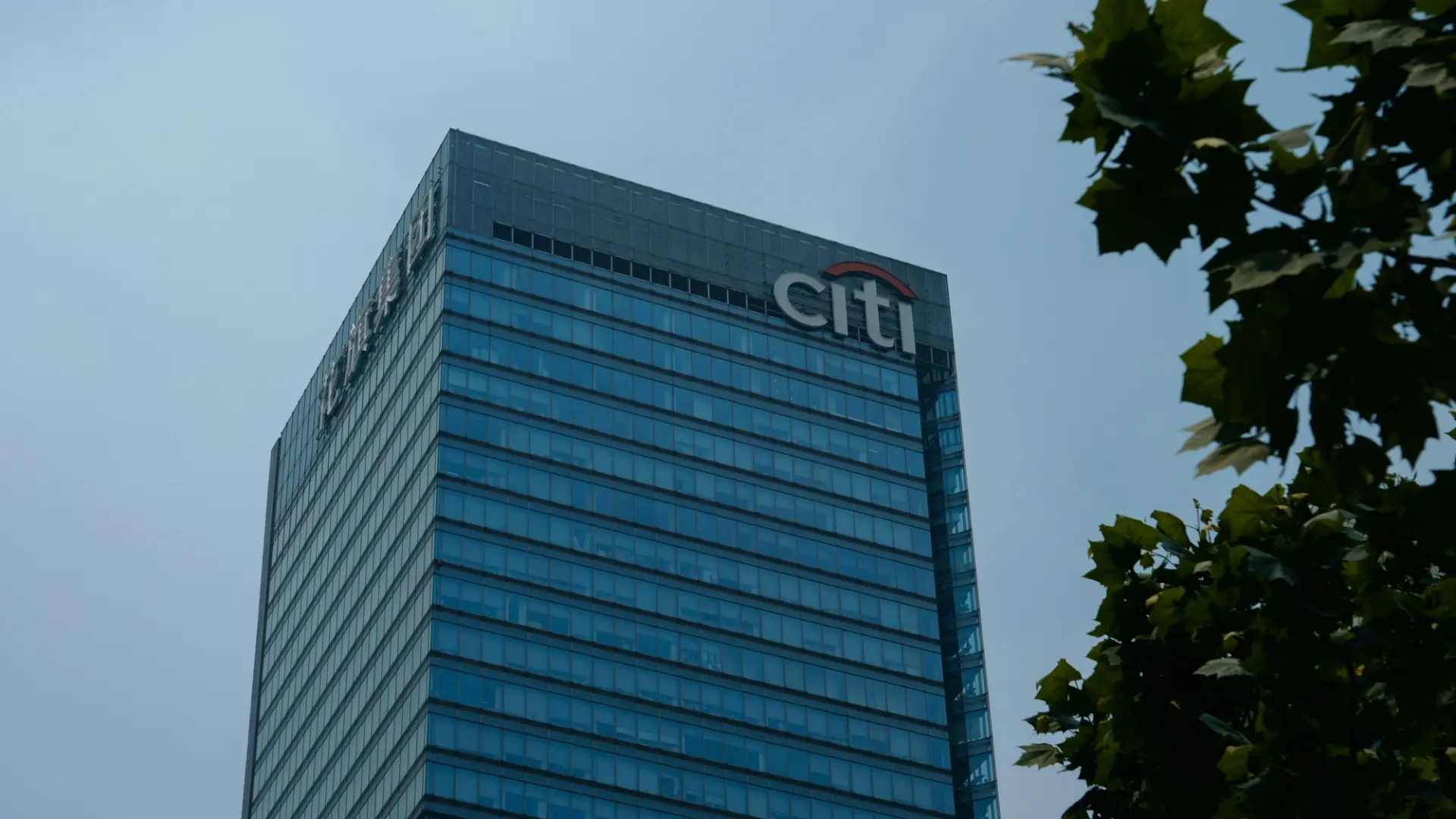 Citigroup raises 12-month bitcoin target to $113,000 as ETF inflows resume